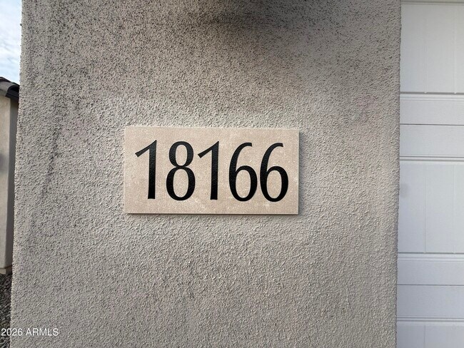 18166 E Colt Dr in Queen Creek, AZ - Building Photo - Building Photo