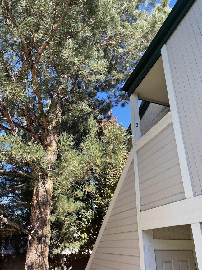 2667 Sycamore Glen Dr in Sparks, NV - Building Photo - Building Photo