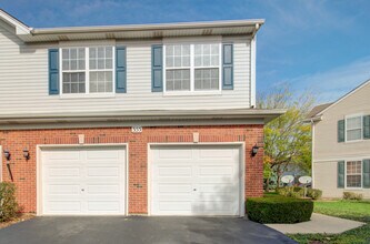 355 Grape Vine Trail in Oswego, IL - Building Photo - Building Photo