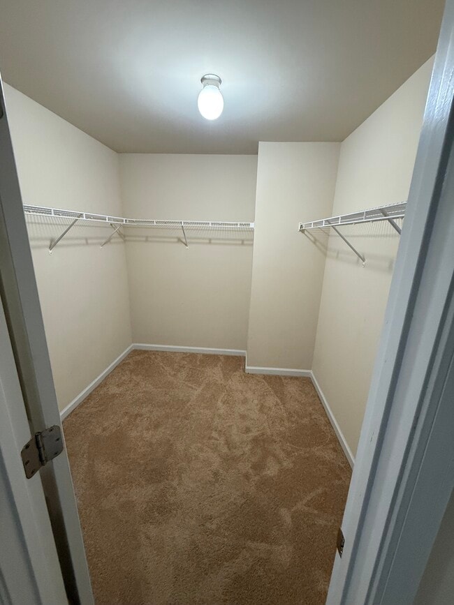 property at 5881 San Gabriel Ln