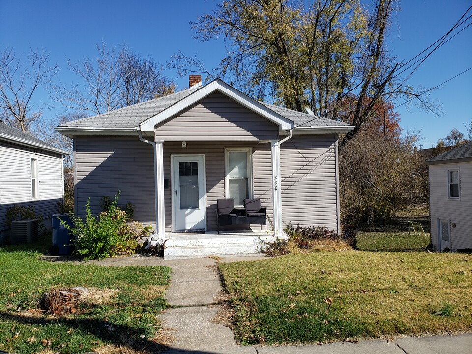 230 N Seminary St in Collinsville, IL - Building Photo