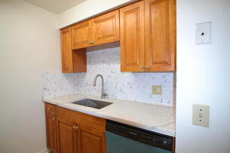 14308 Hanging Moss Cir in Tampa, FL - Building Photo - Building Photo