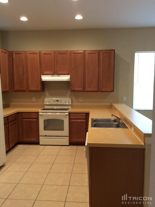 35045 Meadow Reach Dr in Zephyrhills, FL - Building Photo - Building Photo