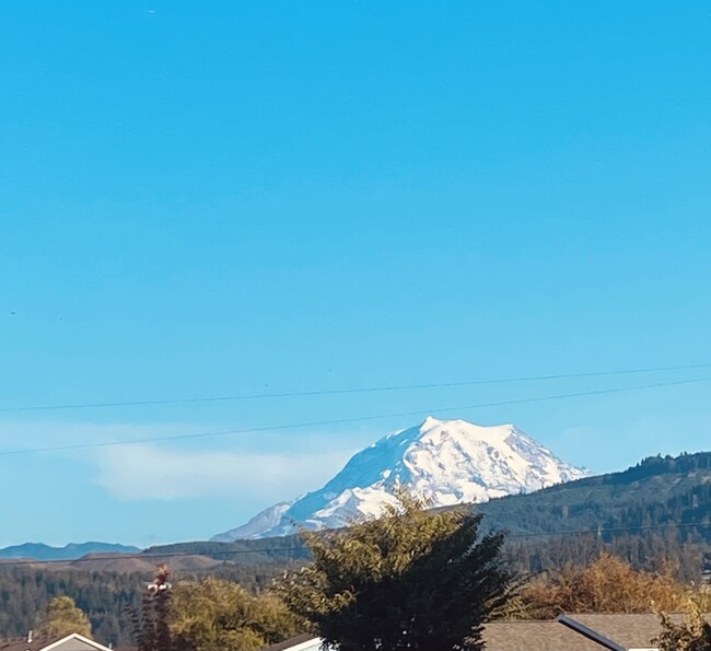 509 Cope St SW in Orting, WA - Building Photo - Building Photo