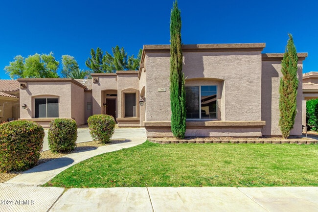 756 W Citrus Way in Chandler, AZ - Building Photo - Building Photo