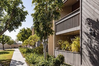 Town And Country in Brea, CA - Foto de edificio - Building Photo