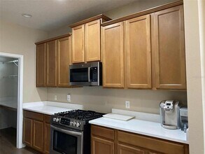 5019 Blue Major Dr in Windermere, FL - Building Photo - Building Photo