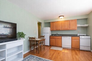 Stadium Village Apartments in Minneapolis, MN - Building Photo