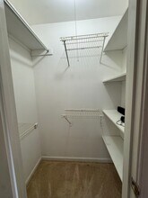 16136 Clarence Ct in King George, VA - Building Photo - Building Photo