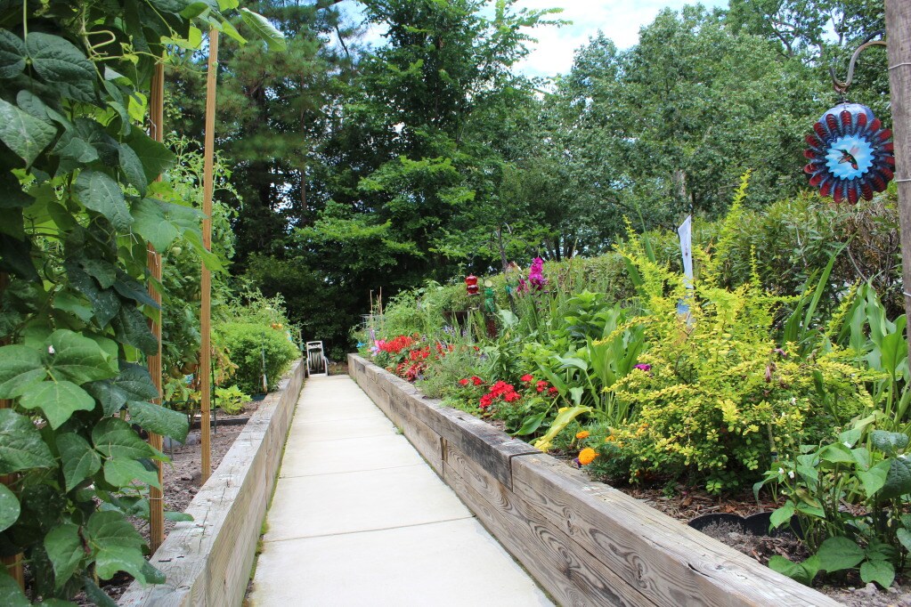 Lynnhaven Cove Senior Apartments Virginia Beach, VA Apartments