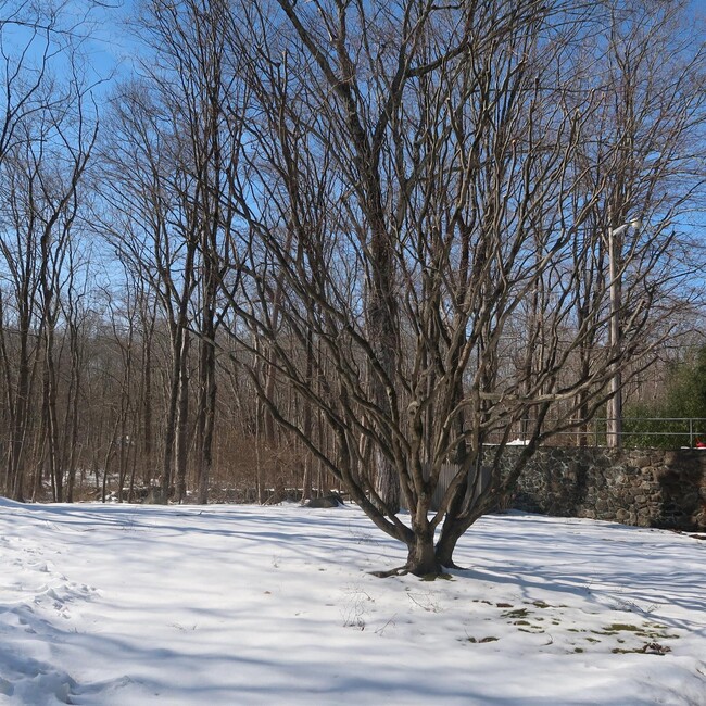 40 Westchester Ave in Pound Ridge, NY - Building Photo - Building Photo