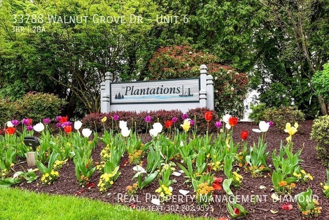 33788 Walnut Grove Dr in Lewes, DE - Building Photo - Building Photo