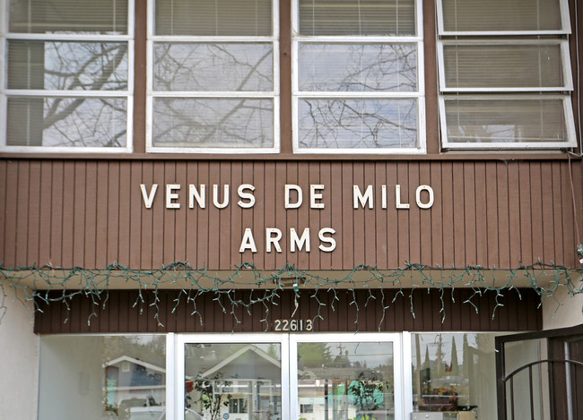 Venus De Milo Arms in Hayward, CA - Building Photo - Building Photo