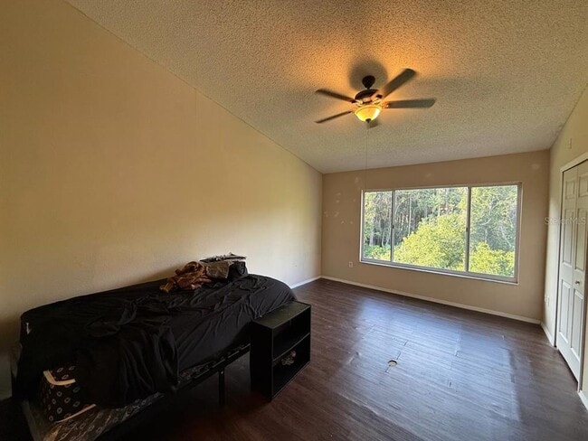 29916 Alta Vita Ln in Wesley Chapel, FL - Building Photo - Building Photo