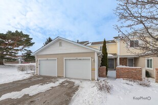 102 N Waterford Dr in Schaumburg, IL - Building Photo