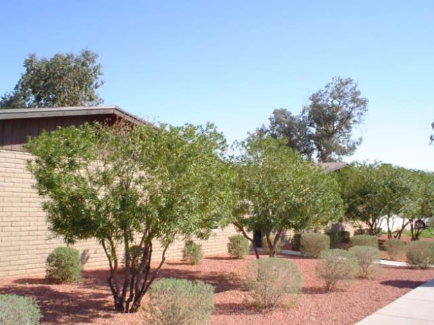 Villa Paradise in Phoenix, AZ - Building Photo