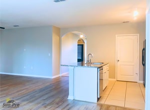 2704 Star Coral Ln in New Smyrna Beach, FL - Building Photo - Building Photo