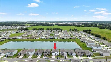 33675 Elm Hl Br in Wesley Chapel, FL - Building Photo - Building Photo