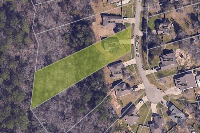 10567 Sunflower Dr in Willis, TX - Building Photo - Building Photo