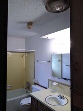 College Apartments in Lawton, OK - Building Photo - Building Photo