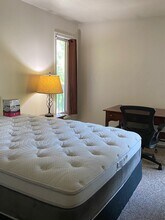 47 S Williams St, Unit 302 in Burlington, VT - Foto de edificio - Building Photo