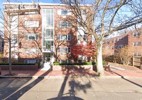 269 Harvard St, Unit 1 in Cambridge, MA - Building Photo