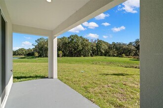 1393 Colt Creek Pl in Wesley Chapel, FL - Building Photo - Building Photo