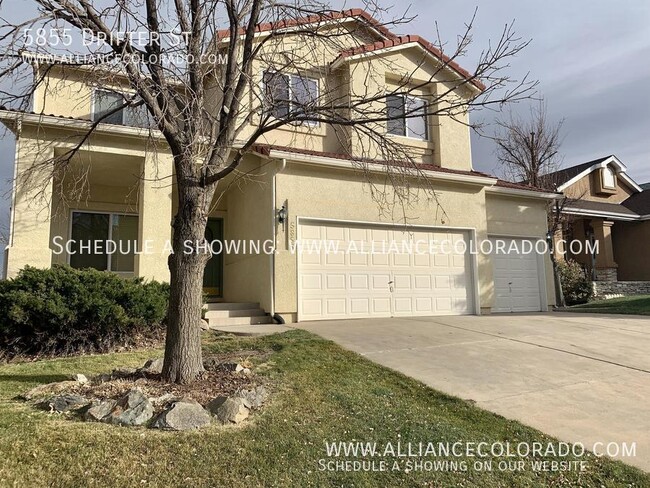 5855 Drifter St