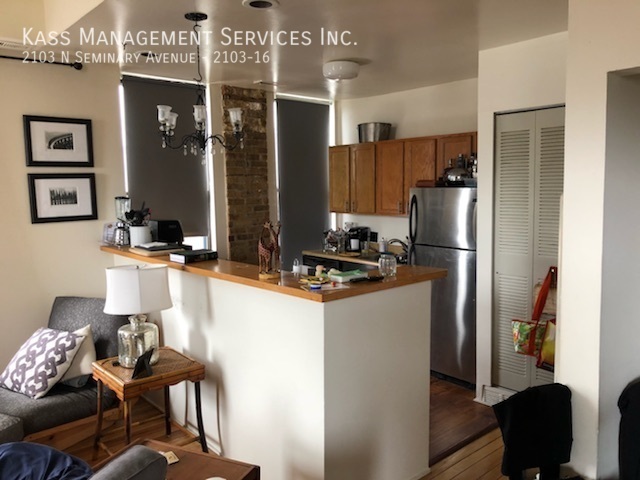 2103 N Seminary Ave-Unit -2103-16 in Chicago, IL - Building Photo