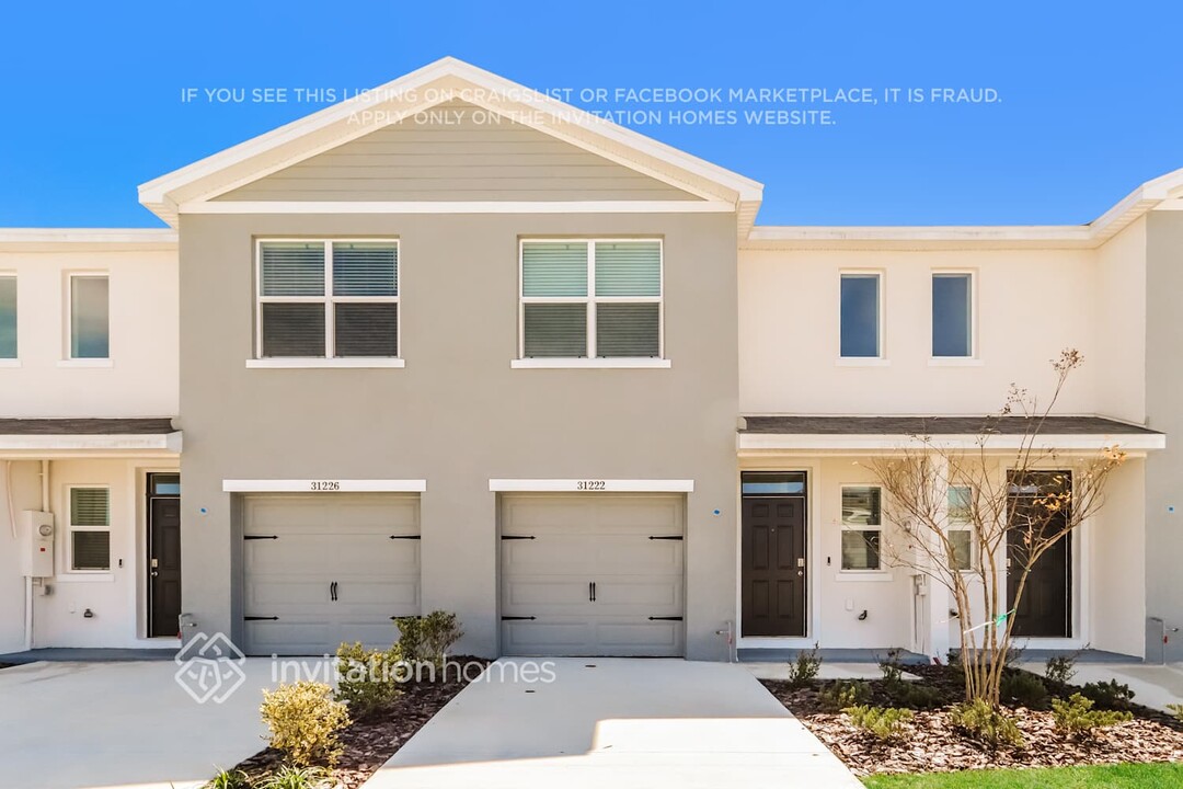 31222 Striped Maple Ln in Wesley Chapel, FL - Building Photo