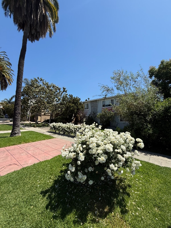 2140 Beachwood Dr in Los Angeles, CA - Building Photo - Building Photo