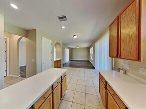 20352 Chestnut Grove Dr in Tampa, FL - Building Photo - Building Photo