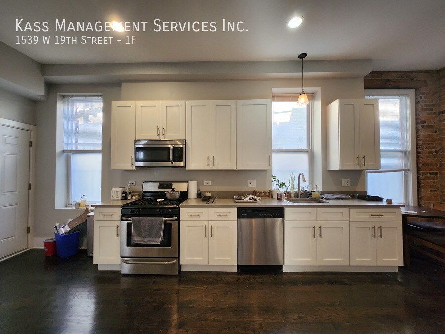 1539 W 19th St in Chicago, IL - Building Photo