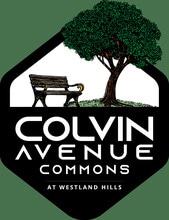 Colvin Avenue Commons in Albany, NY - Foto de edificio - Building Photo