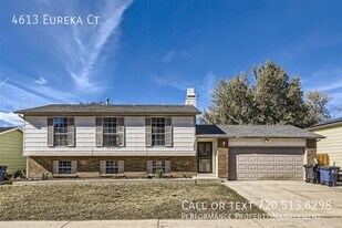 4613 Eureka Ct in Denver, CO - Building Photo