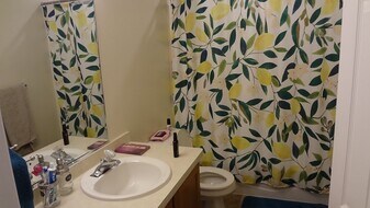 672 N 500 W in Provo, UT - Building Photo