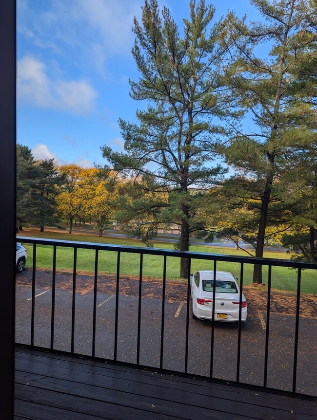 38 Chestnut Hls, Unit 38 in New Hartford, NY - Building Photo - Building Photo