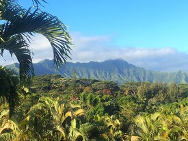 4362 Ulua St in Kilauea, HI - Building Photo