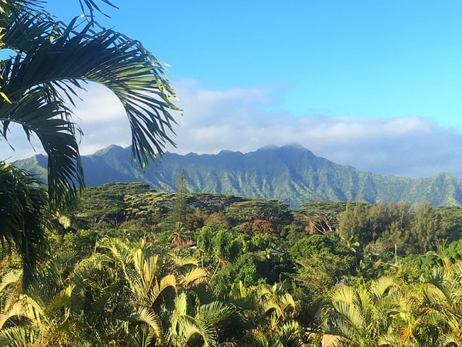 property at 4362 Ulua St