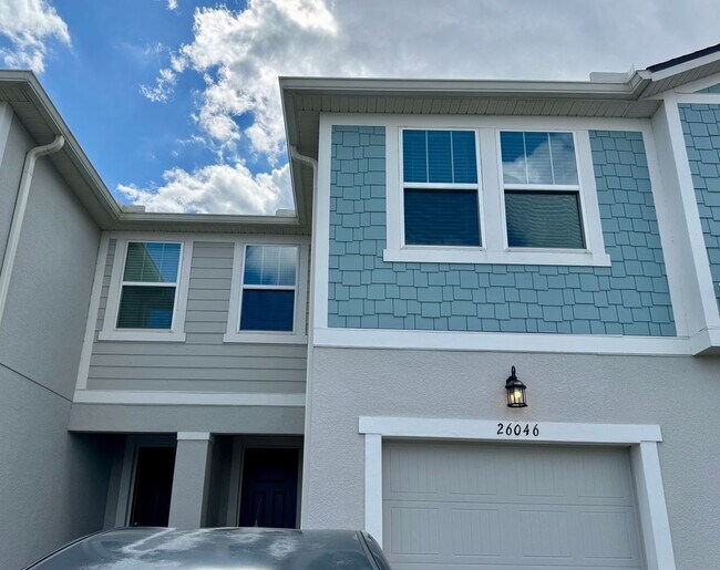 26046 Woven Wicker Bnd in Lutz, FL - Foto de edificio - Building Photo