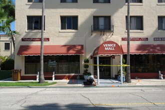 238 Tampa Ave W in Venice, FL - Building Photo - Other