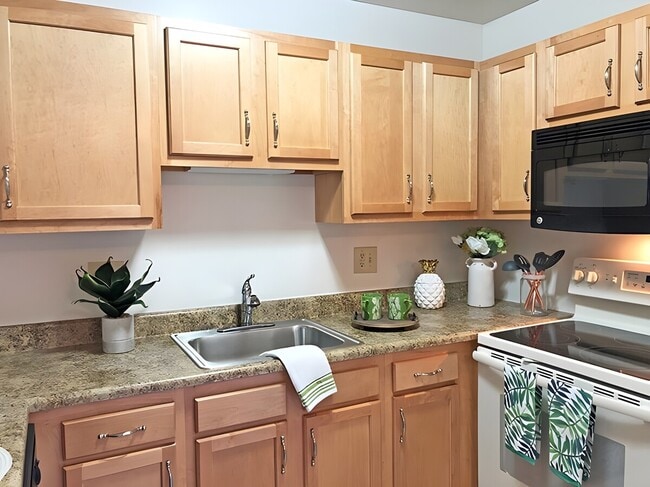 Williamsburg Village in Albany, NY - Building Photo - Building Photo