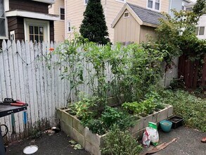 9 Lowell Ter, Unit 2 in Somerville, MA - Building Photo - Building Photo