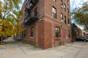 903 Saratoga Ave in Brooklyn, NY - Foto de edificio - Building Photo