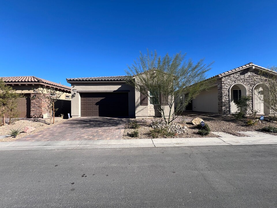 116 Ibiza Lk Dr in Henderson, NV - Building Photo