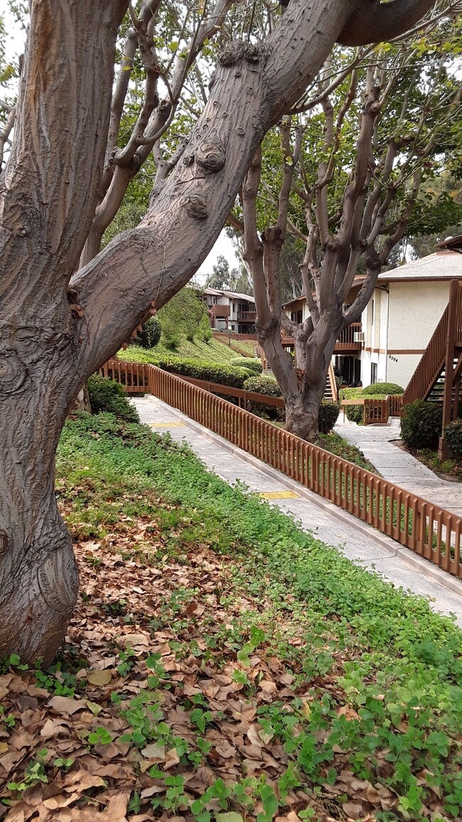 6362 Rancho Mission Rd, Unit 701 in San Diego, CA - Building Photo - Building Photo