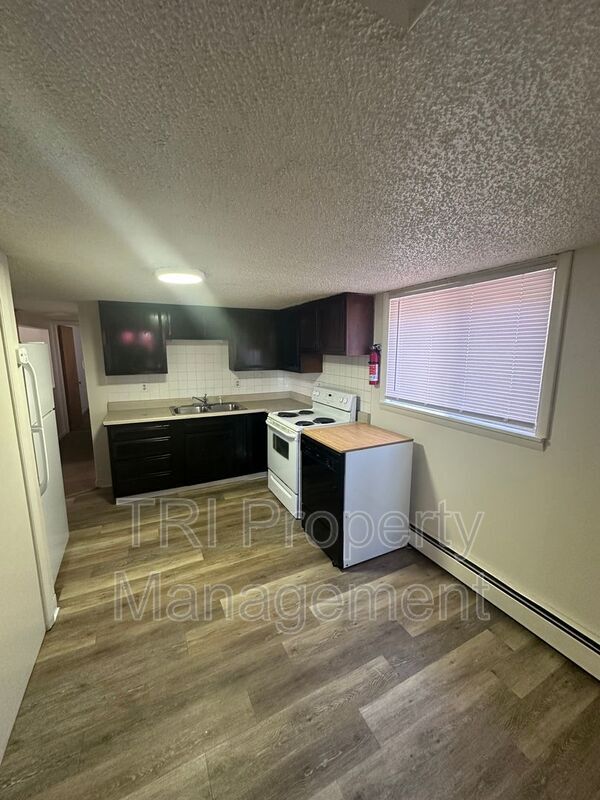 1017 Cranford Pl in Greeley, CO - Foto de edificio - Building Photo