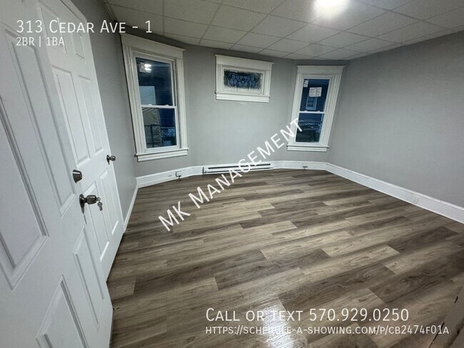 313 Cedar Ave in Scranton, PA - Building Photo - Building Photo