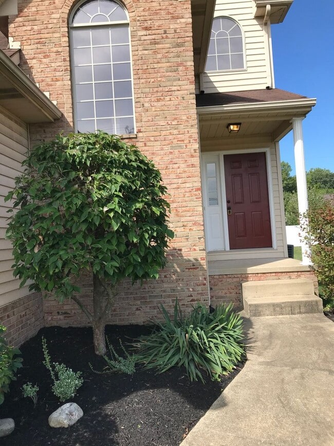 5907 Frank Ave NW in North Canton, OH - Building Photo - Building Photo