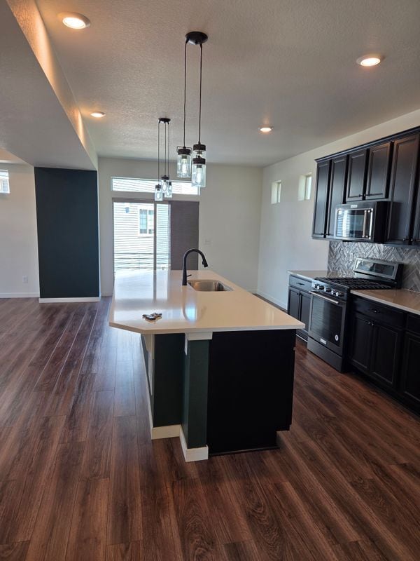 3677 Pinonwood Ct in Johnstown, CO - Building Photo - Building Photo